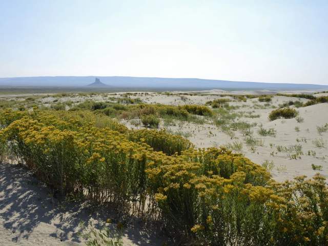 Killpecker sand dunes - Red Desert