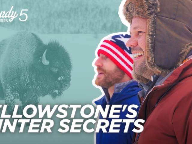 Steaming Hot Springs and Bison: Yellowstone In Winter - Howdy Neighbor S1 E5