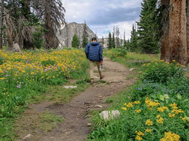 Hiker walking in the Snowy Range Forest.