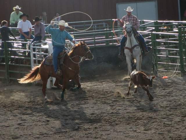 Jackson Hole Rodeo