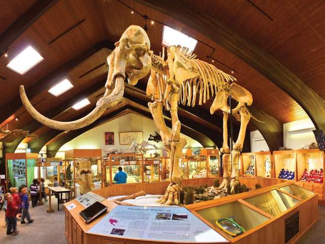 Tate Geological Museum at Casper College