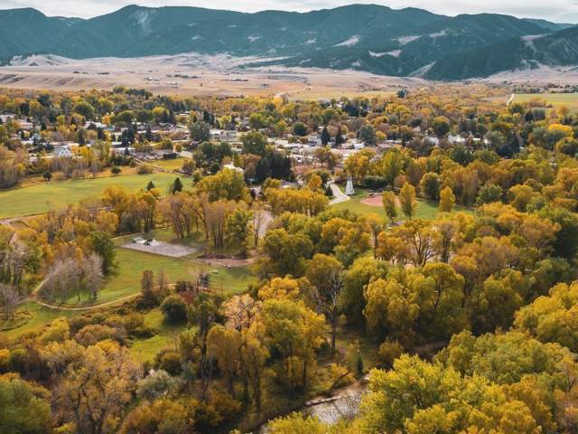 Polo and the Bighorn Mountains