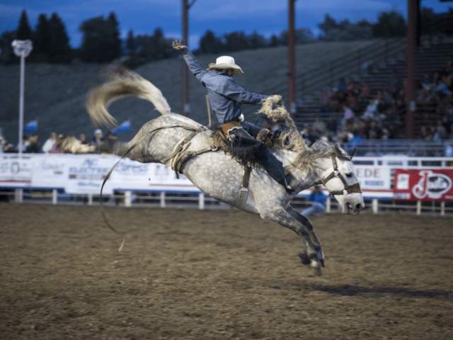A cowboy rides a bronco at a Wyoming Rodeo.