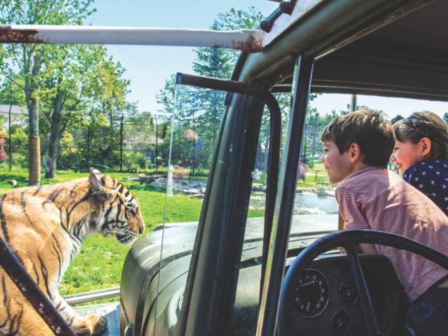 Zoo de Magnetic Hill