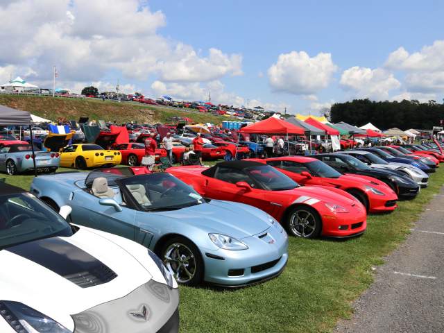Corvettes at Carlisle