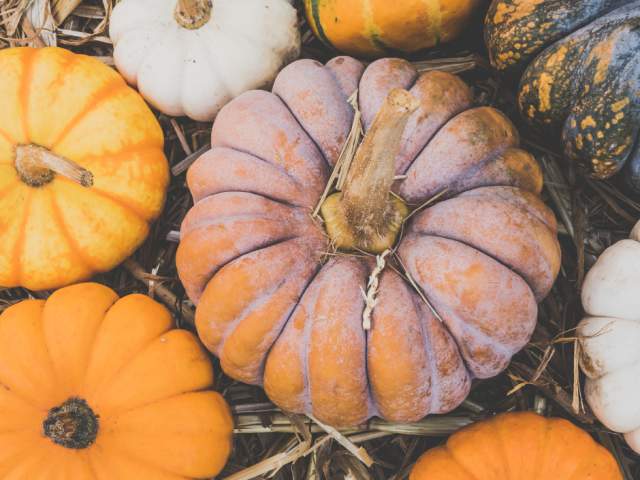2026 Pennsboro Pumpkin Fest