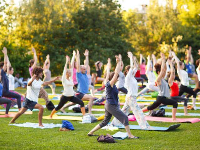 Yoga at Thornwald Park