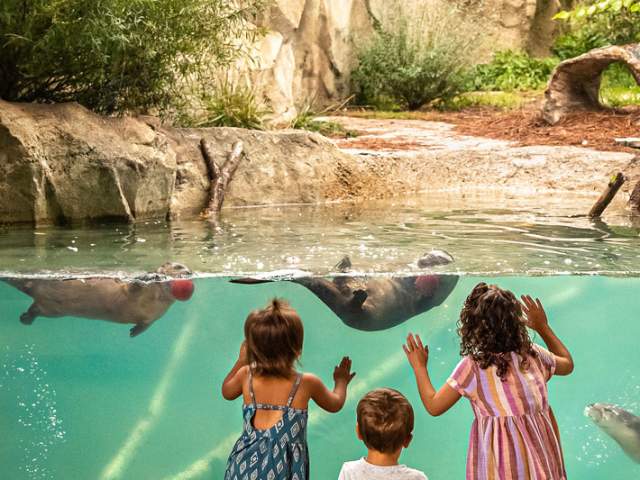 Fort Wayne Zoo