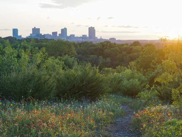 Tandy Hills/Stratford Park Natural Area