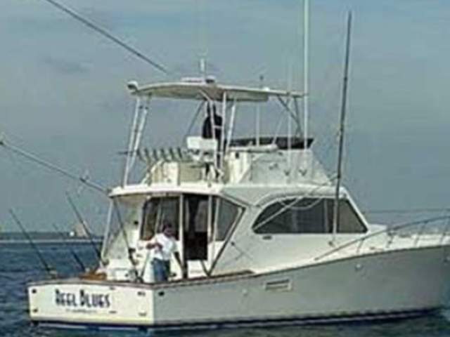 A1A SPORTFISHING