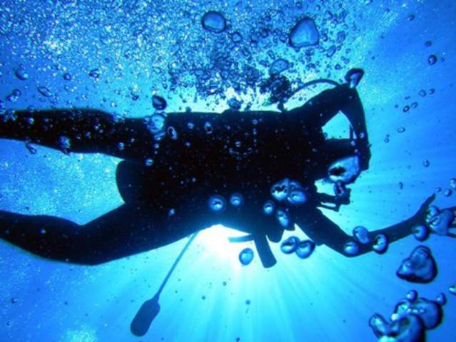 AMERICAN DREAM DIVE CHARTERS