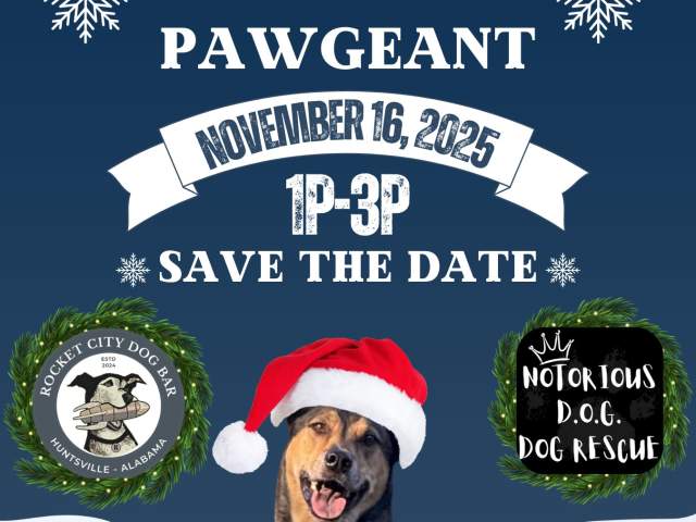 HOWLiday PAWgeant to Benefit Notorious D.O.G. Rescue