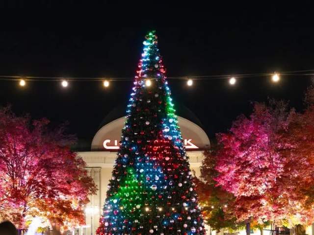Merry & Bright Night (Tree Lighting)
