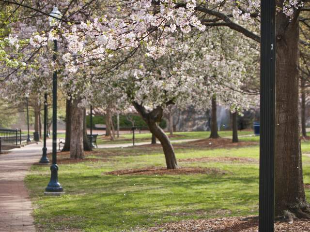 Big Spring International Park