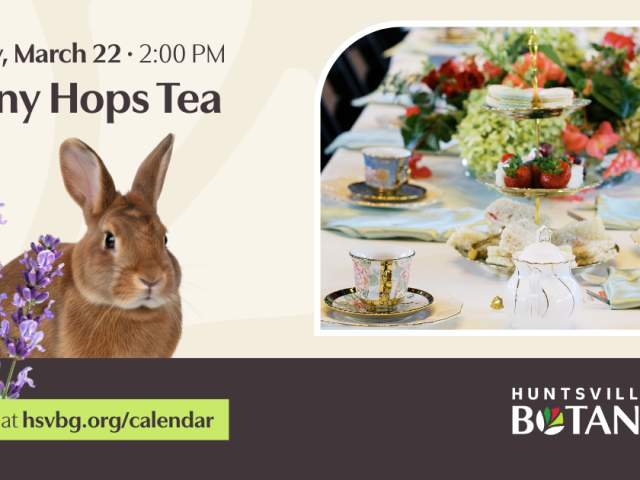 Bunny Hops Tea