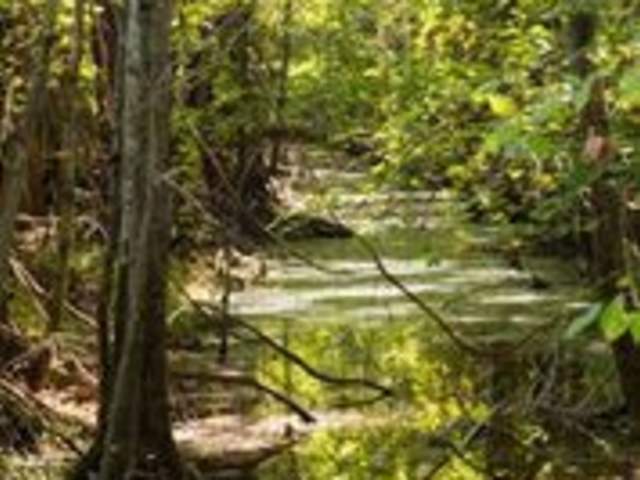 Goldsmith-Schiffman Wildlife Sanctuary