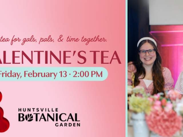 Galentine’s Tea