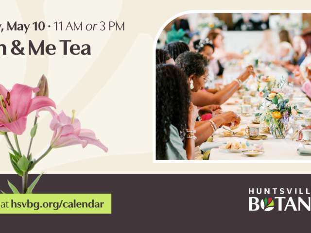 Mom & Me Tea