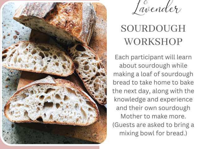 Sourdough 101 Workshop
