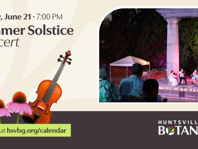 Summer Solstice Concert