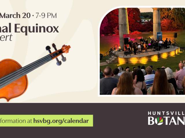 Vernal Equinox Concert