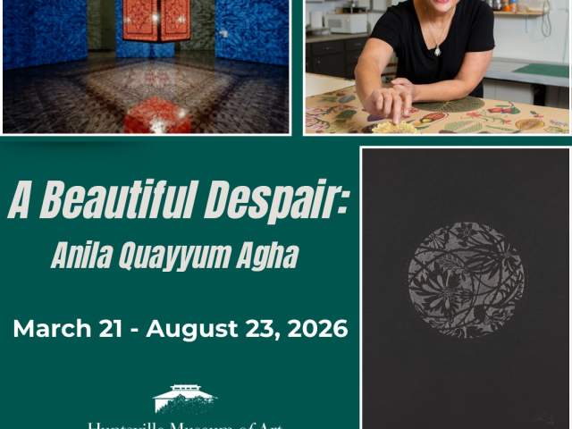 A Beautiful Despair: Anila Quayyum Agha