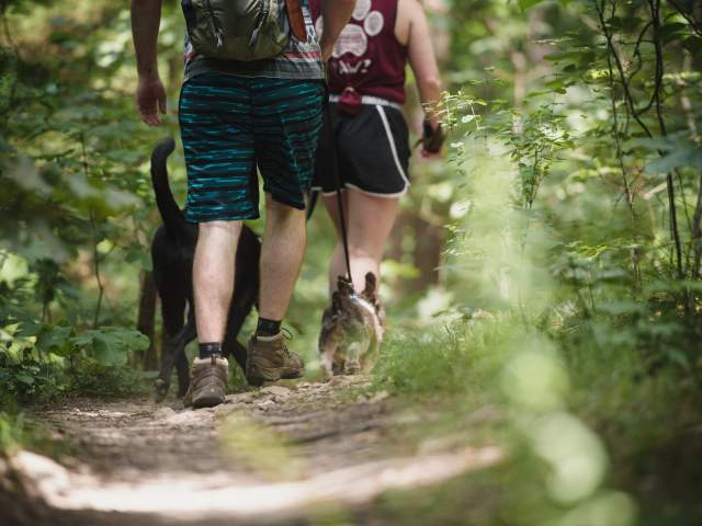 Land Trust of North Alabama