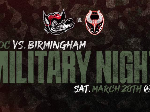 Huntsville Havoc vs. Birmingham Bulls