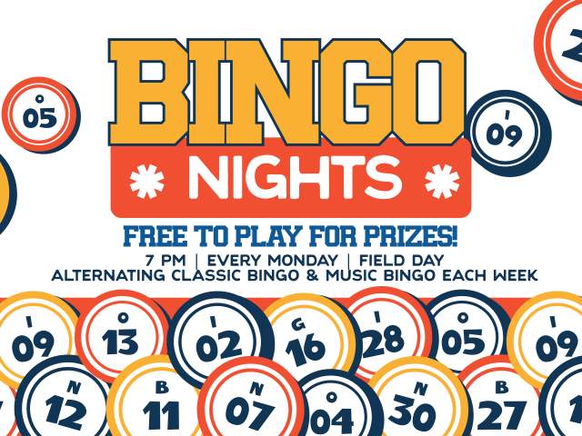 Bingo Night