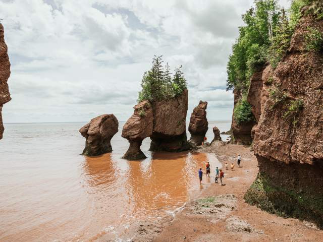 Hopewell Rocks Provincial Park