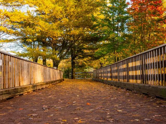 Irishtown Nature Park