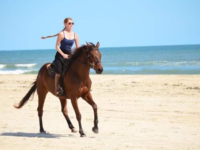 Save $50 on horseback riding on the beach in 2026