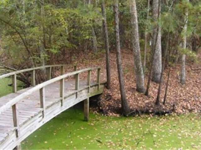 The Nature Conservancy at Nags Head Woods Preserve
