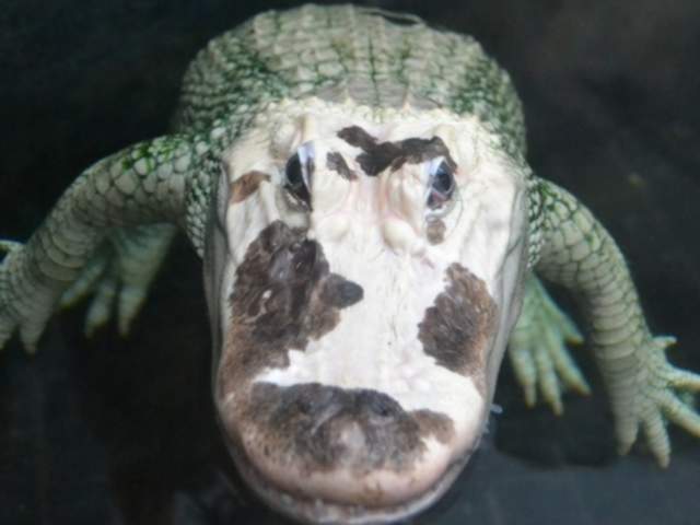 North Carolina Aquarium on Roanoke Island