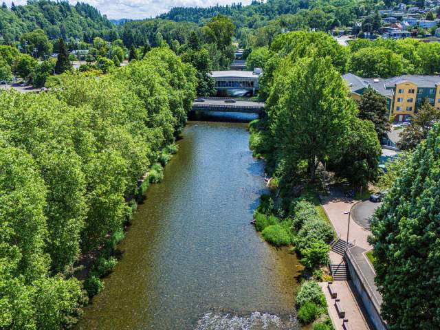 Cedar River Trail