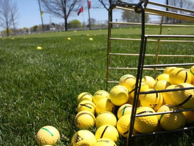 Wedges and Woods Driving Range
