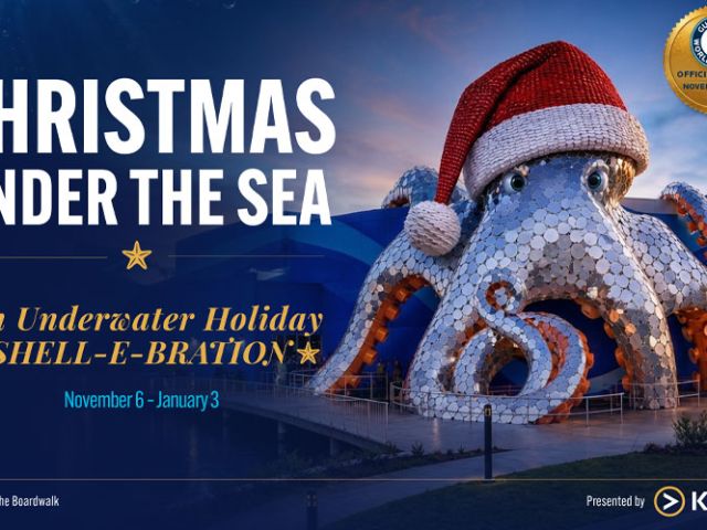 Christmas Under The Sea at The Aquarium At The Boardwalk