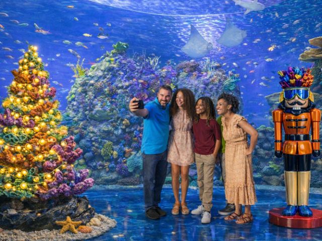 Christmas Under the Sea at Aquarium at the Boardwalk