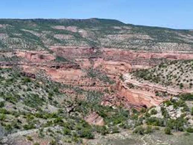 Black Ridge Trail