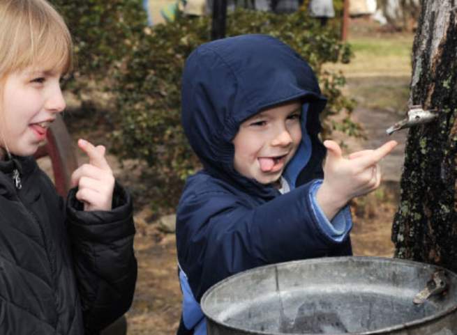 Children Maple Tree