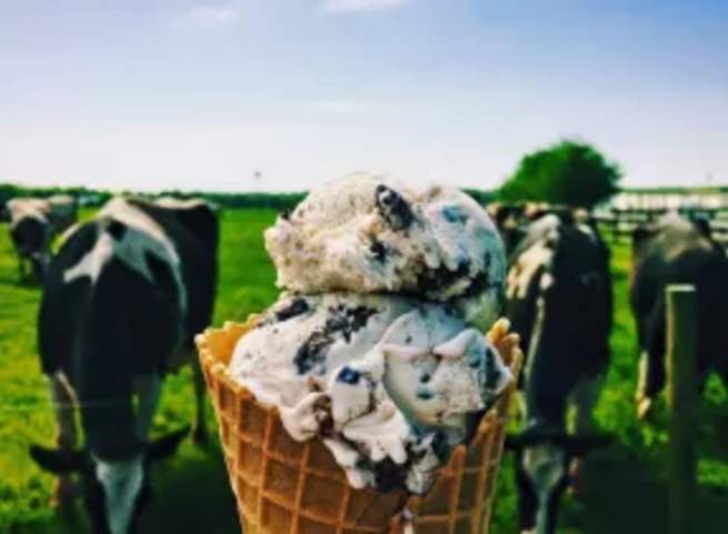 Merrymead-Farm-ice cream