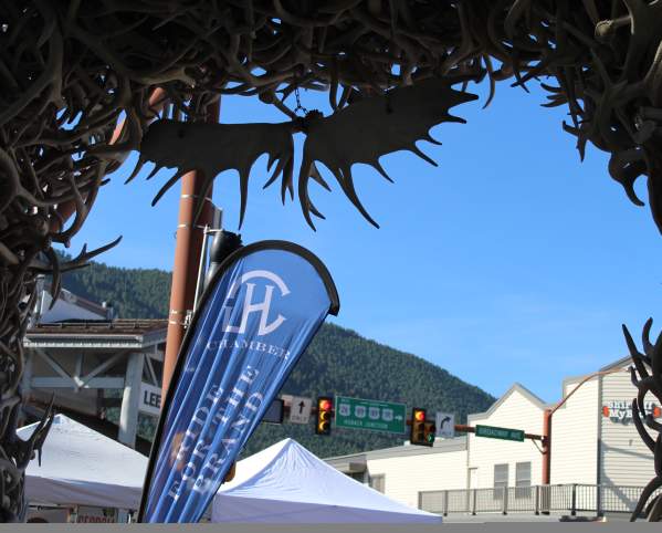 Chamber Flag Under Arches