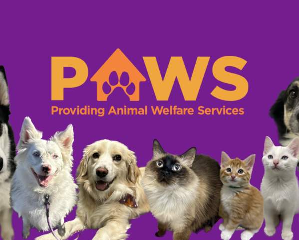 PAWS &#8211; Providing Animal Welfare Services