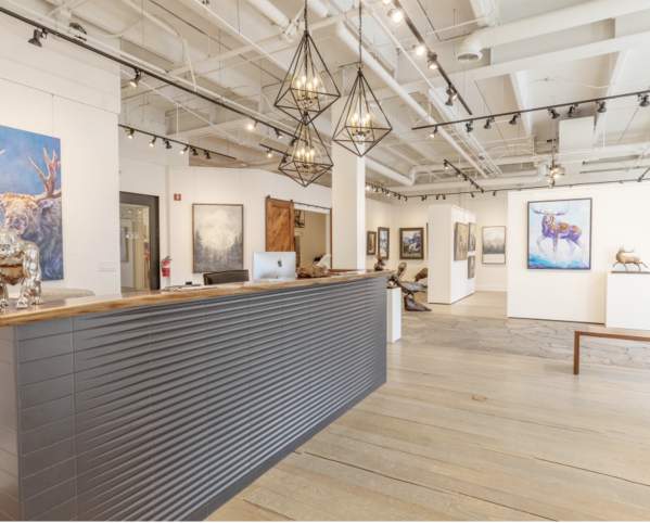 Gallery Wild