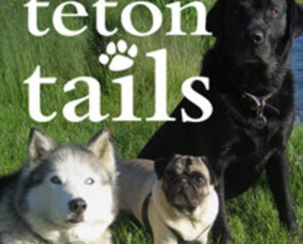 Teton Tails