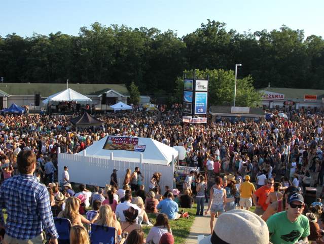A crowd of people at a concert venue
