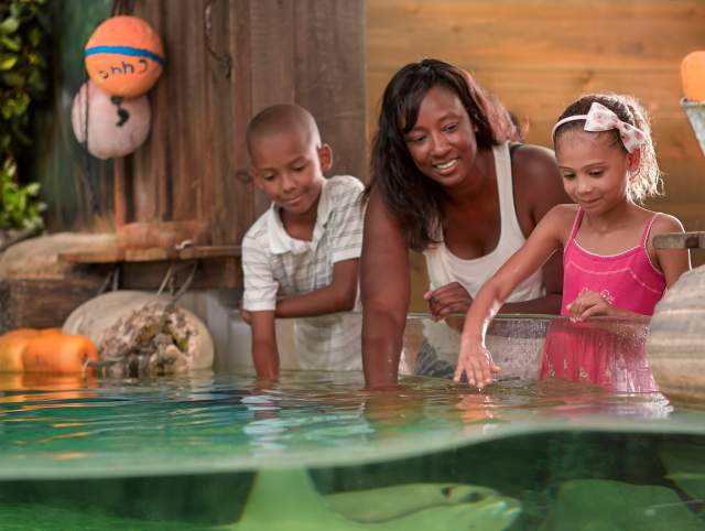 Mom and kids at the Zoo