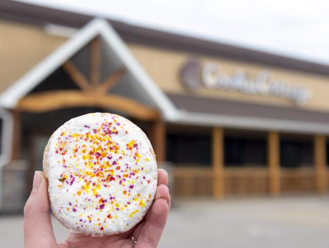 Iced Sugar Cookie with Sprinkles from Cookie Cottage