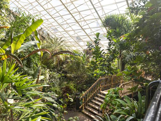 Holiday Guide to Accessible Downtown Fort Wayne Attractions