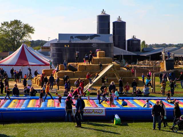 Enjoy Fall on the Farm at the Kuehnert Dairy Fall Festival